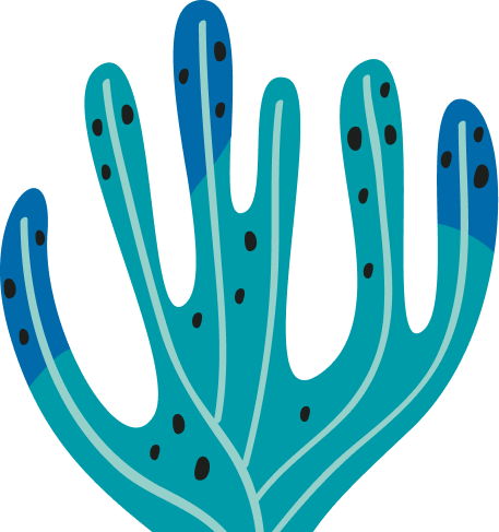 coral
