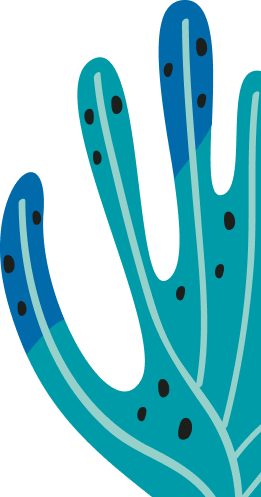 coral