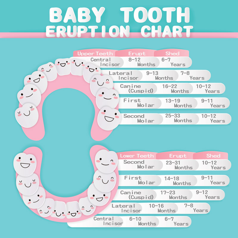 First Dental Visit